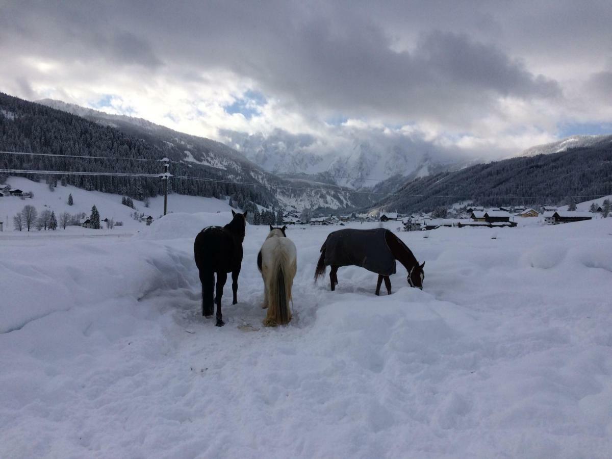 Ferienwohnung Schmiedsipplbad Gosau Bagian luar foto